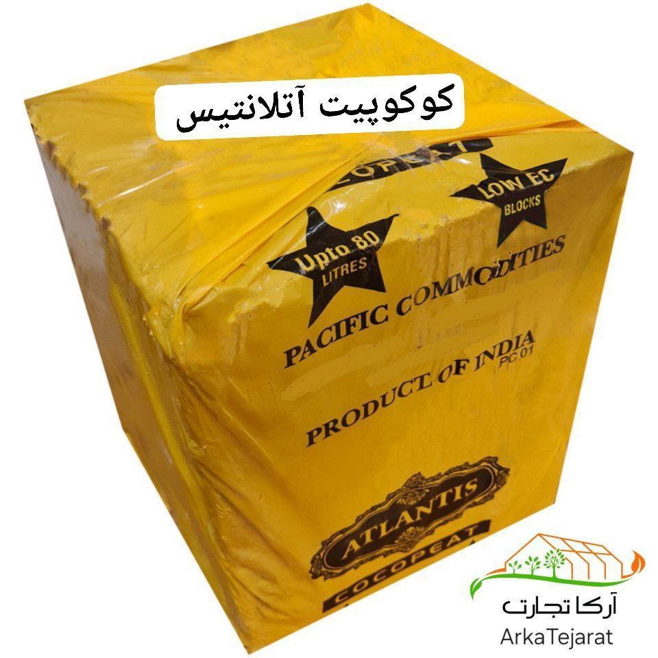 تصویر 4 از فروش ویژه کوکوپیت آتلانتیس قالب 5 کیلویی + خرید بی‌ واسطه