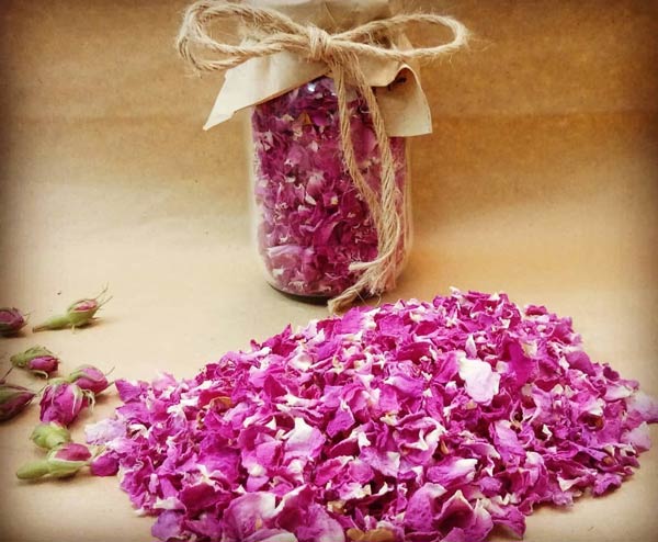 فروش مستقیم پر گل محمدی صادراتی به صورت عمده با شرکت فولاد گل