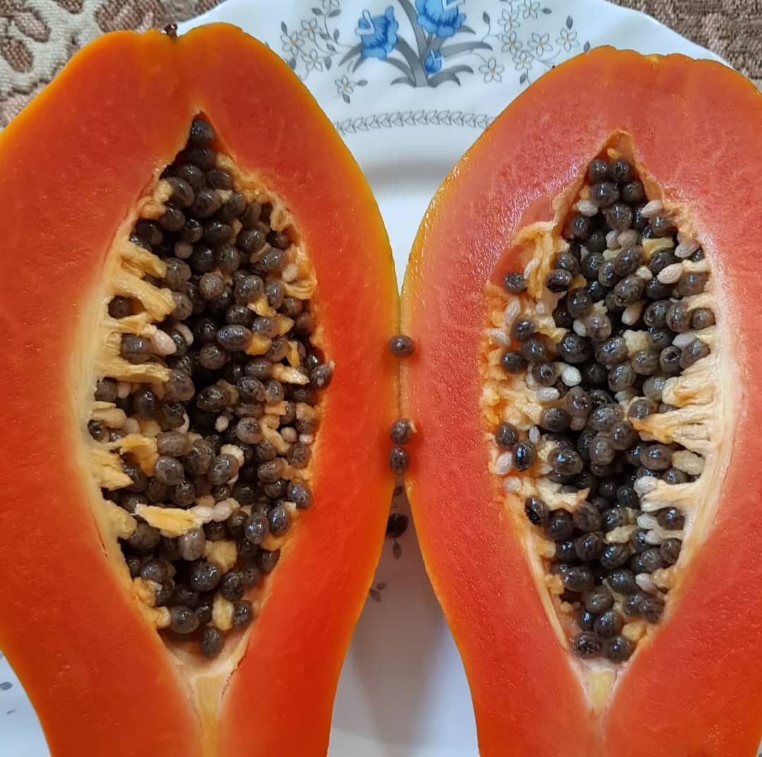 تصویر 3 از پاپایا تازه و رسیده صادراتی + قیمت عمده مناسب