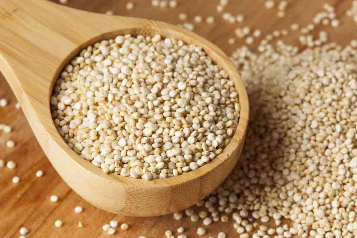 تصویر 4 از خرید و قیمت دانه چیا سفید + فروش صادراتی