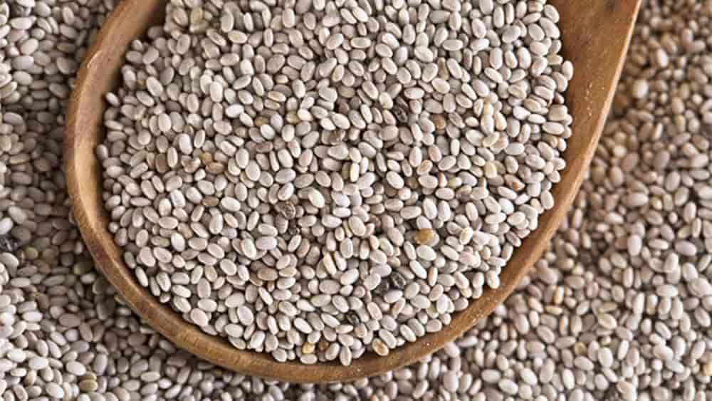 تصویر 1 از خرید و قیمت دانه چیا سفید + فروش صادراتی