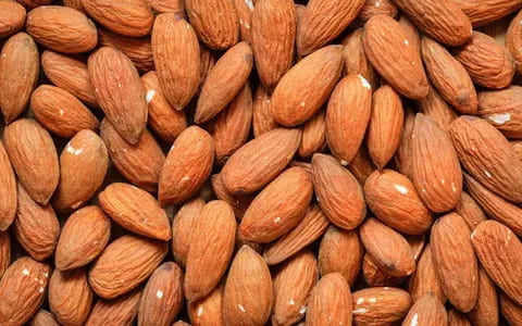 تصویر 3 از خرید بادام درختی کهنه + قیمت عالی باکیفیت