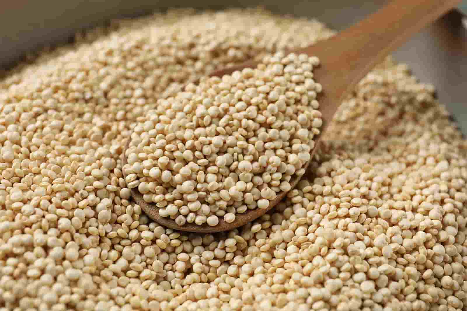 فروش کینوا سه رنگ