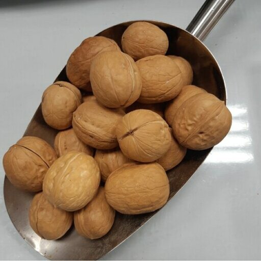 خرید و قیمت گردو با پوست + فروش عمده