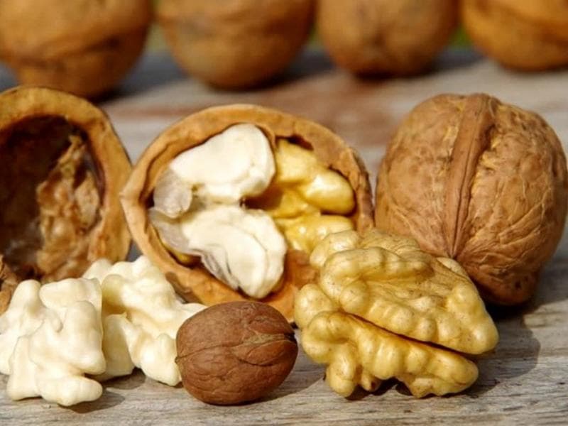 تصویر 2 از خرید و قیمت گردو با پوست + فروش عمده