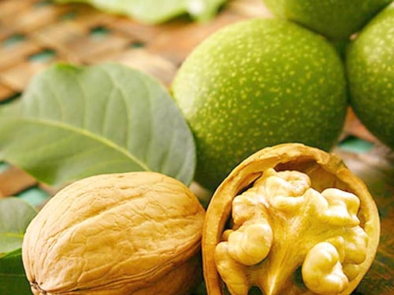 تصویر 4 از خرید گردو درختی + قیمت فروش استثنایی