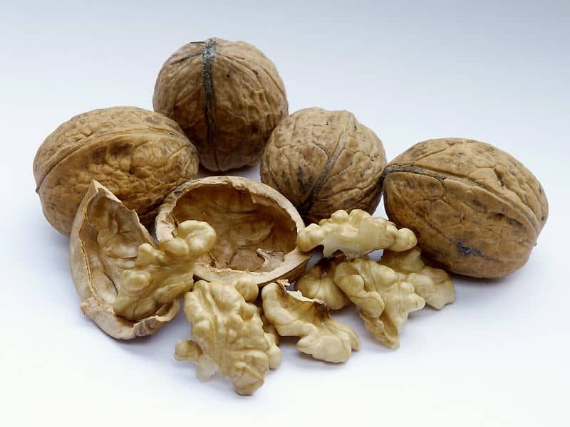 تصویر 5 از خرید گردو درختی + قیمت فروش استثنایی