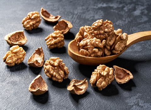 تصویر 2 از قیمت گردو خشک + خرید باور نکردنی