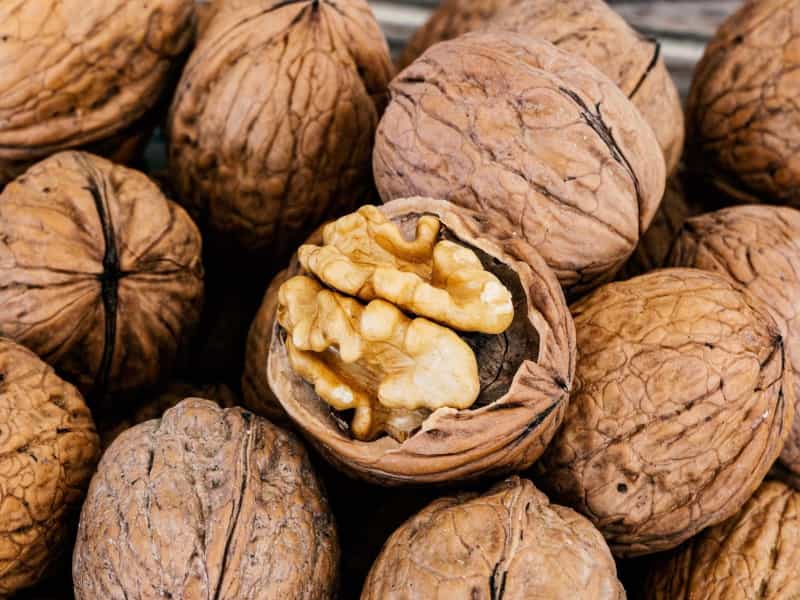 تصویر 4 از قیمت گردو خشک + خرید باور نکردنی