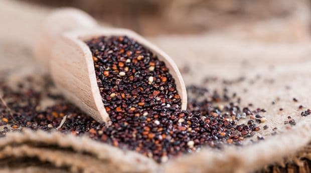 تصویر 4 از خرید و قیمت کینوا سیاه + فروش عمده