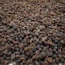 تصویر 3 از خرید و قیمت کشمش آفتابی + فروش عمده