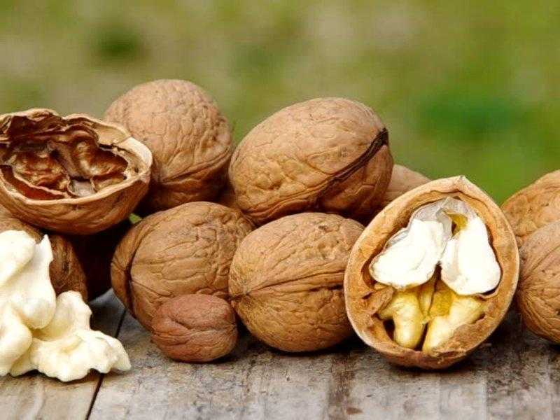 تصویر 2 از خرید و قیمت مغز گردوی عمده + فروش صادراتی