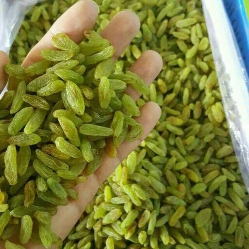 تصویر 1 از قیمت با کیفیت ارزان کشمش سبز + خرید عمده