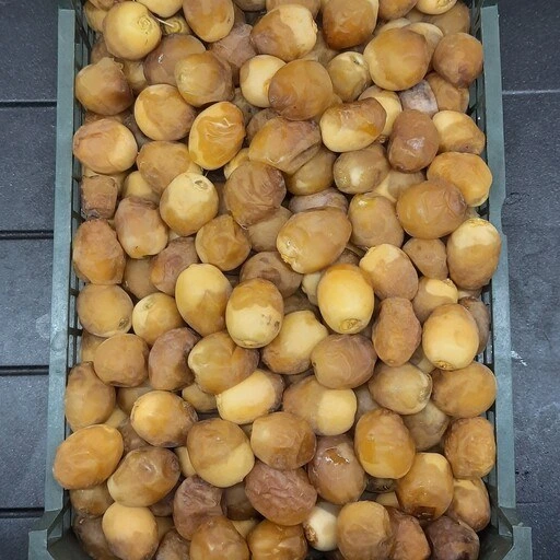 تصویر 4 از قیمت خرید رطب برحی ارگانیک با فروش عمده
