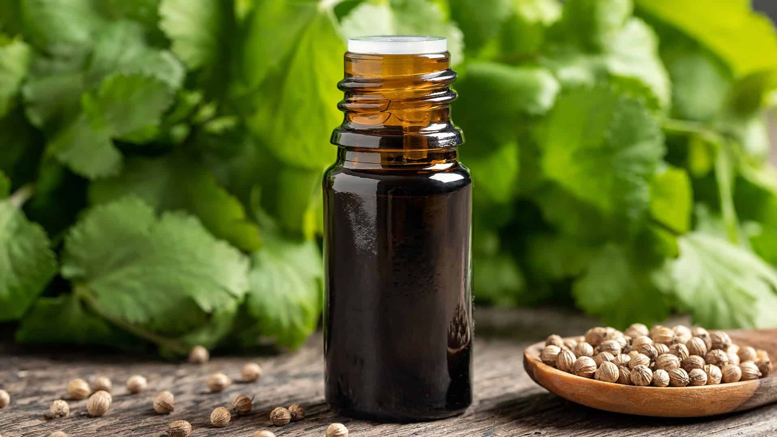 تصویر 1 از فروش عصاره گیاه گشنیز مایع گرید A