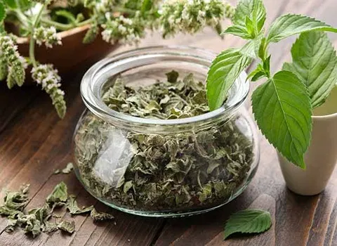 تصویر 1 از خرید عصاره خوراکی کاسنی + قیمت رقابتی