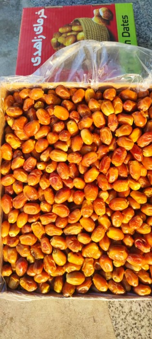 فروش عمده خرمای زاهدی صادراتی