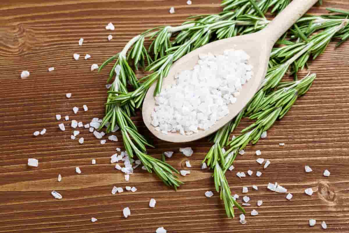 تصویر 1 از قیمت نمک گیاهی + خرید باور نکردنی