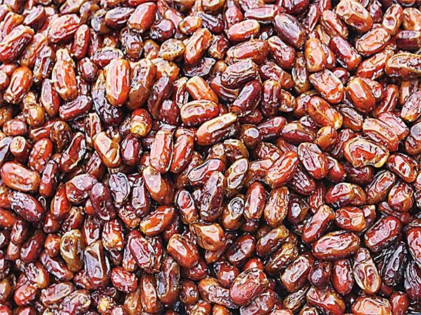 تصویر 2 از خرید و فروش خرمای استعمران صادراتی + فروش عمده