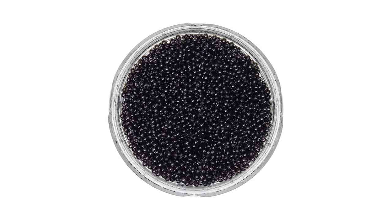 تصویر 2 از خرید و قیمت خاویار بلوگا صادراتی + فروش عمده