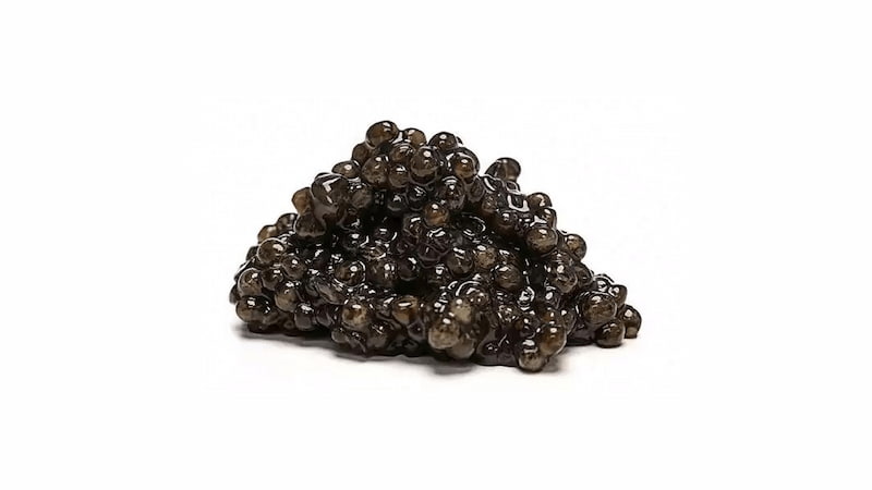 خرید و قیمت خاویار آسترا سلطنتی + فروش عمده