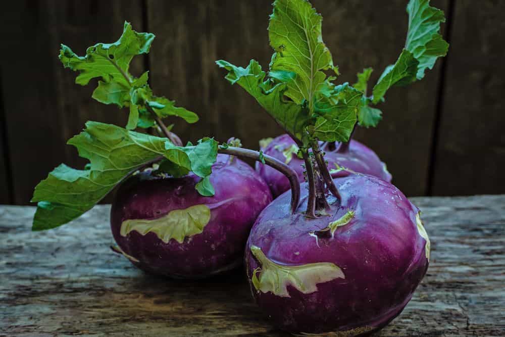 خرید کلم قمری بنفش + قیمت فروش استثنایی