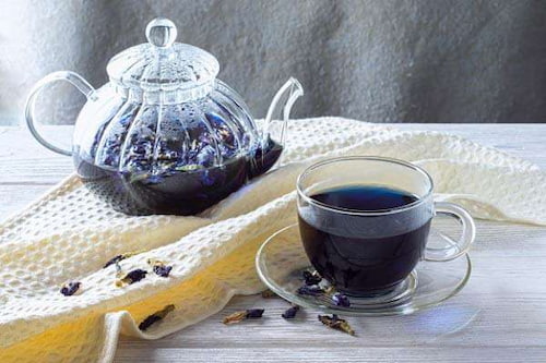 تصویر 5 از قیمت و خرید گل گاو زبان + فروش ارزان