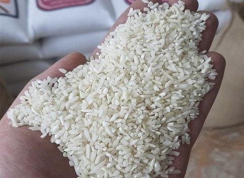 تصویر 4 از خرید برنج هاشمی لاشه + قیمت فروش استثنایی