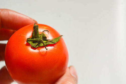 تصویر 5 از فروش رب گوجه فرنگی حلبی + قیمت خرید به صرفه