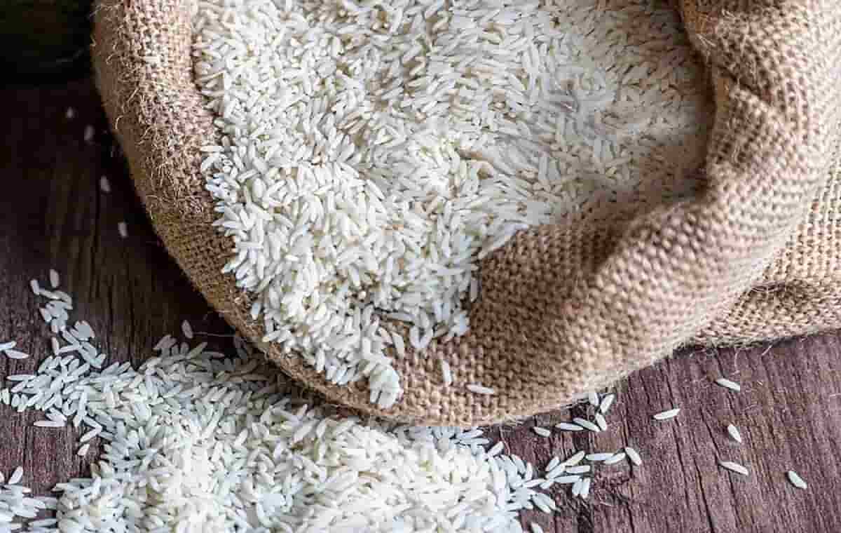 تصویر 4 از خرید و قیمت برنج طارم کشت دوم + فروش صادراتی