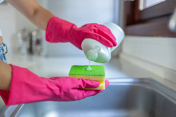 مایع ظرفشویی صدف یک لیتری مناسب خانواده