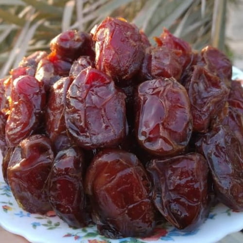 تصویر 4 از قیمت خرید خرما کبکاب بهبهان + فروش ویژه
