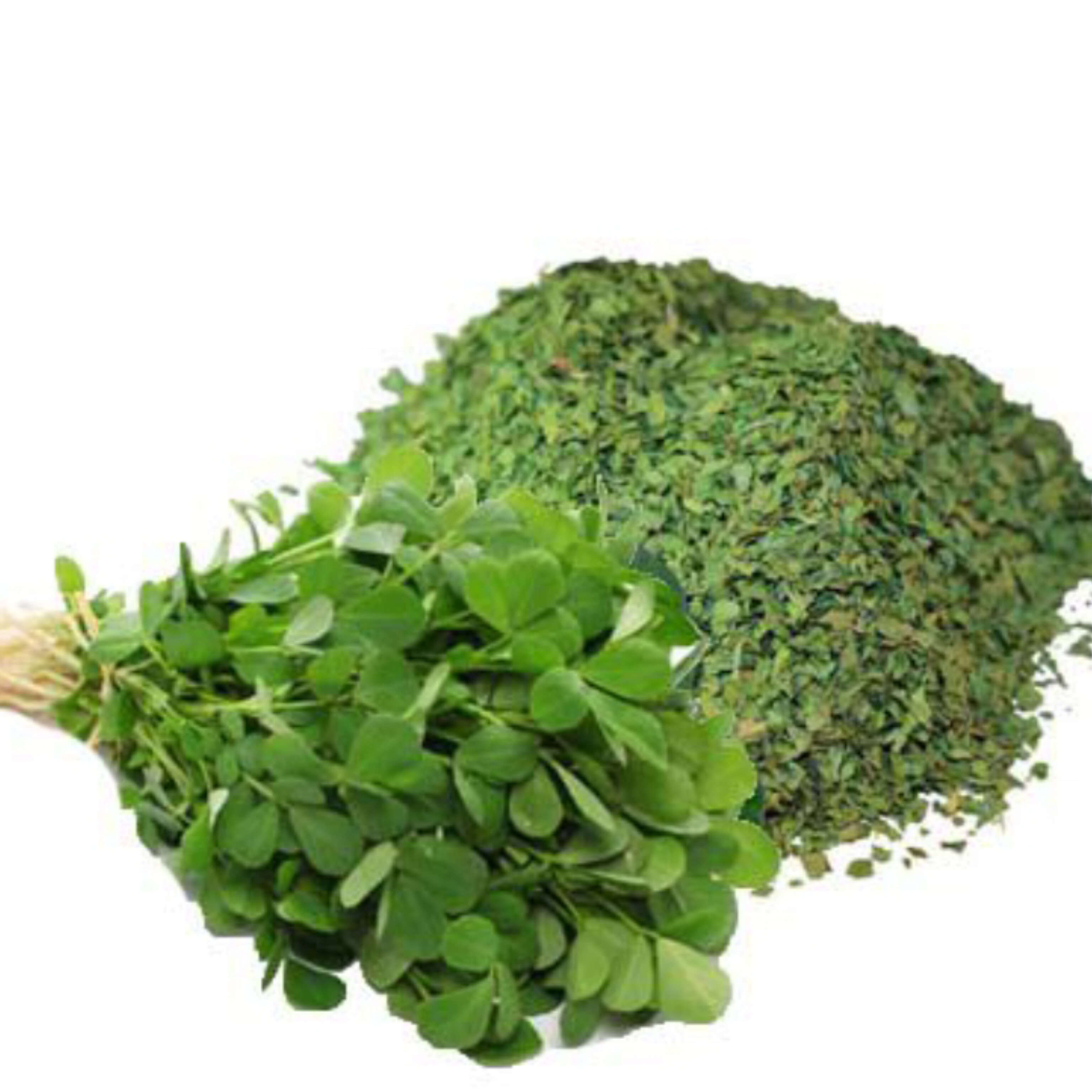 شنبلیله خشک