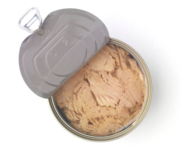 تصویر 3 از فروش استثنایی تن ماهی