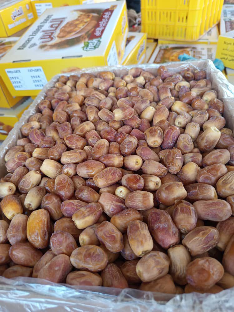تصویر 2 از خرید انواع خرما زاهدی درجه یک صادراتی به کشور افغانستان