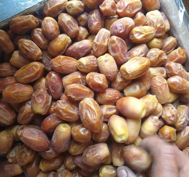 تصویر 5 از قیمت عمده امروز خرمای زاهدی