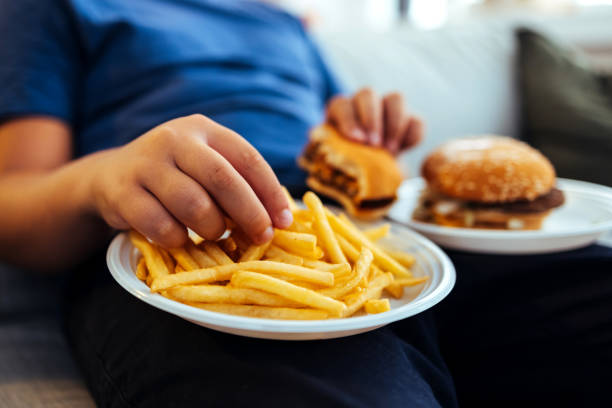 تصویر 2 از قیمت خرید فرنچ فرایز لوتوس + فروش ویژه