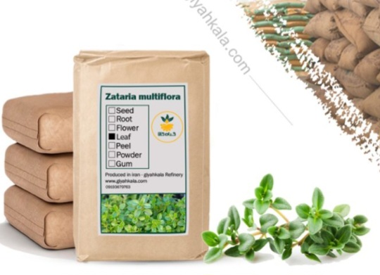تصویر 1 از گیاه آویشن شیرازی خشک یا پودری بسته بندی فروش صادراتی