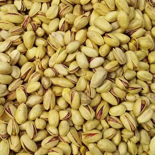 تصویر 3 از خرید و قیمت پسته خنجری شور زعفرانی + فروش صادراتی