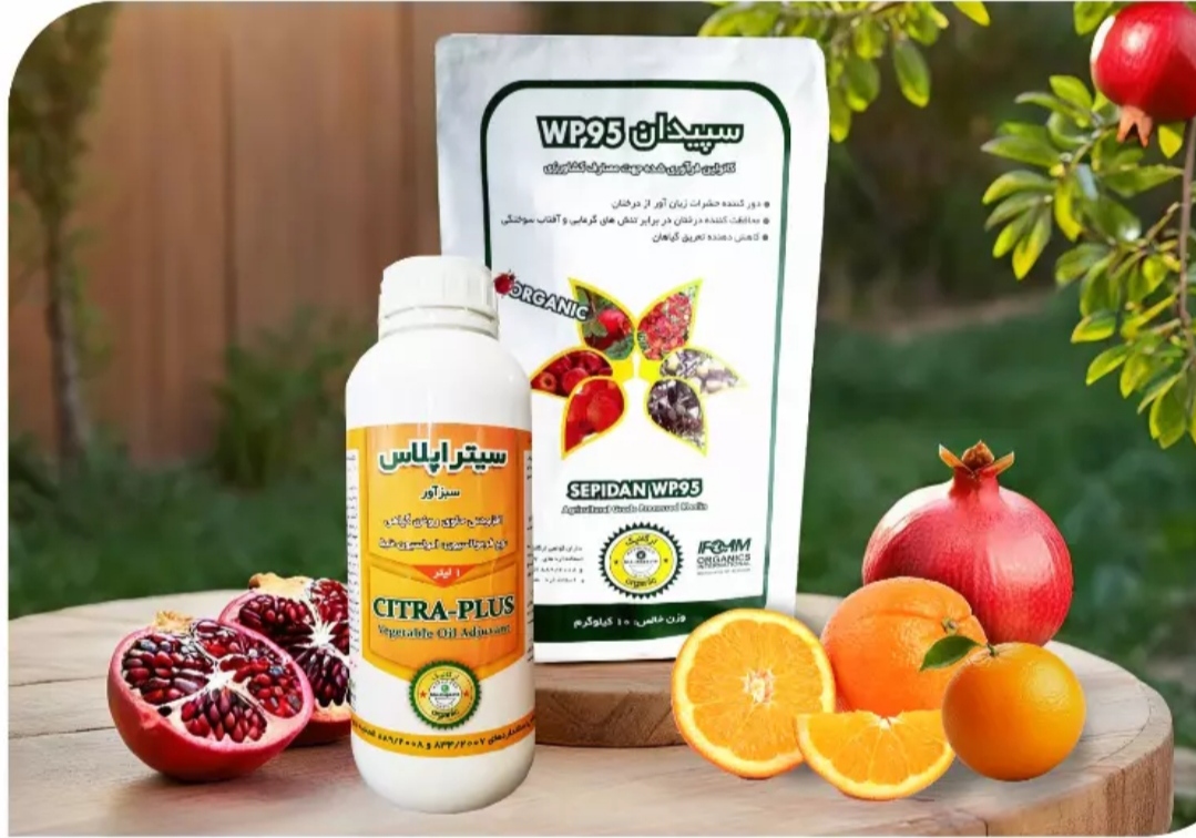 تصویر 1 از خرید مستقیم روغن و لک سیترا پلاس + تولید کننده