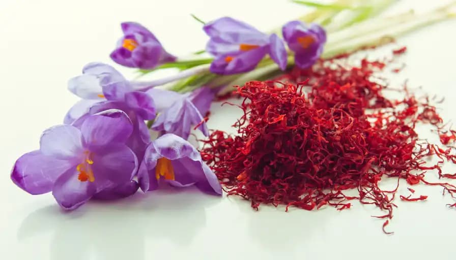 تصویر 2 از خرید زعفران توکلی مشهد  + قیمت فروش استثنایی