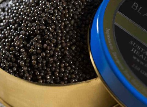 قیمت خاویار