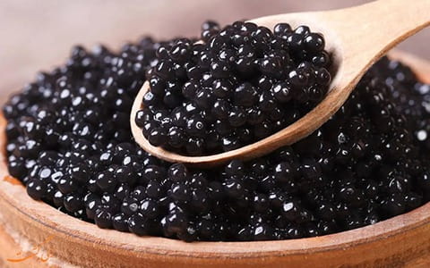 تصویر 4 از خرید و قیمت خاویار بلوگا ممتاز ویژه + فروش عمده