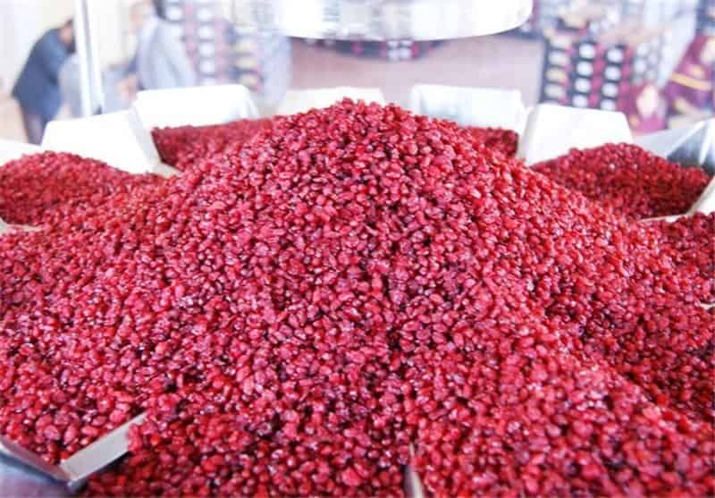 تصویر 3 از قیمت خرید زرشک مجلسی با فروش عمده