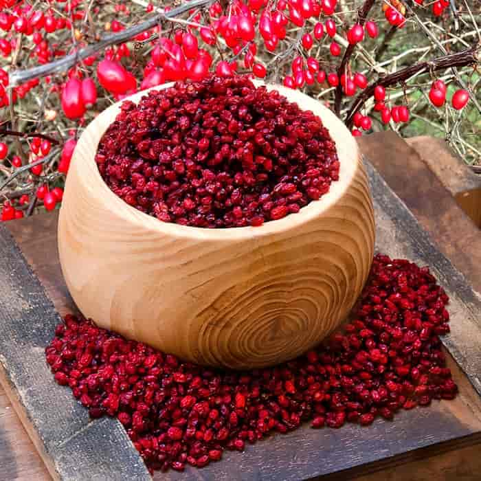 تصویر 2 از قیمت خرید زرشک مجلسی با فروش عمده