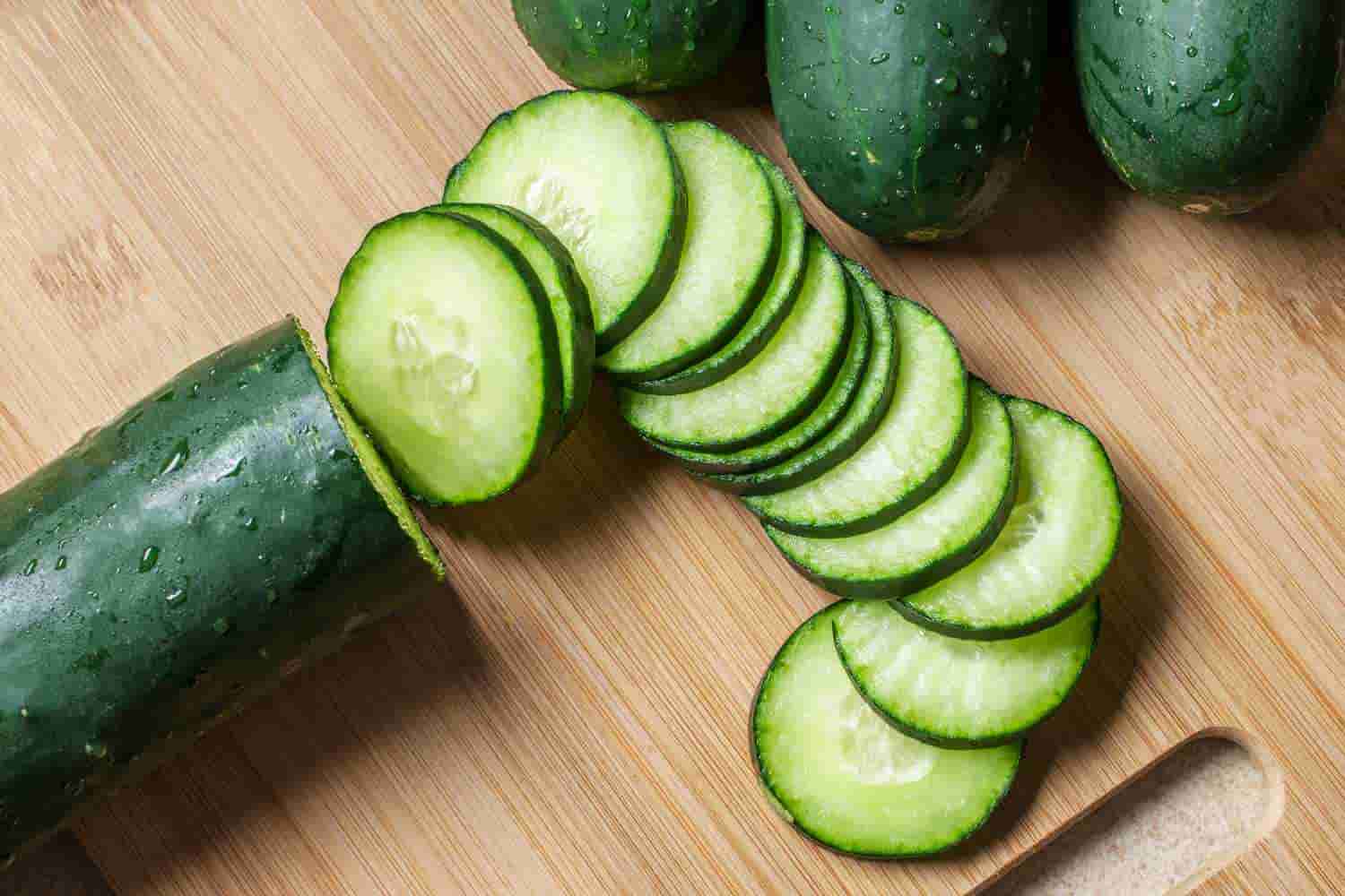 خرید و قیمت خیار بوته ای + فروش عمده