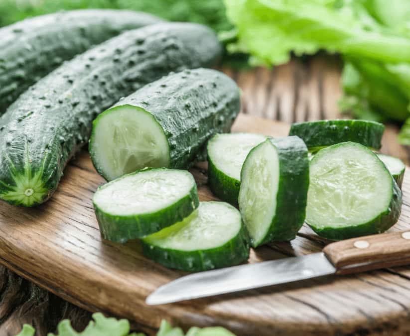 تصویر 3 از فروش خیار قلمی بوته ای + قیمت خرید به صرفه
