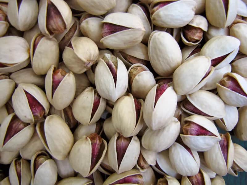 تصویر 3 از خرید و قیمت پسته کله قوچی درشت + فروش عمده
