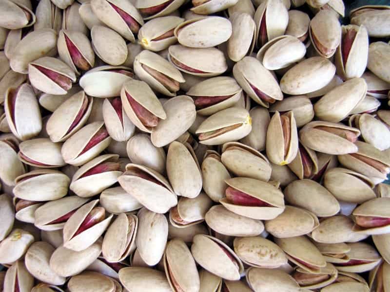 تصویر 4 از خرید و قیمت پسته کله قوچی درشت + فروش عمده