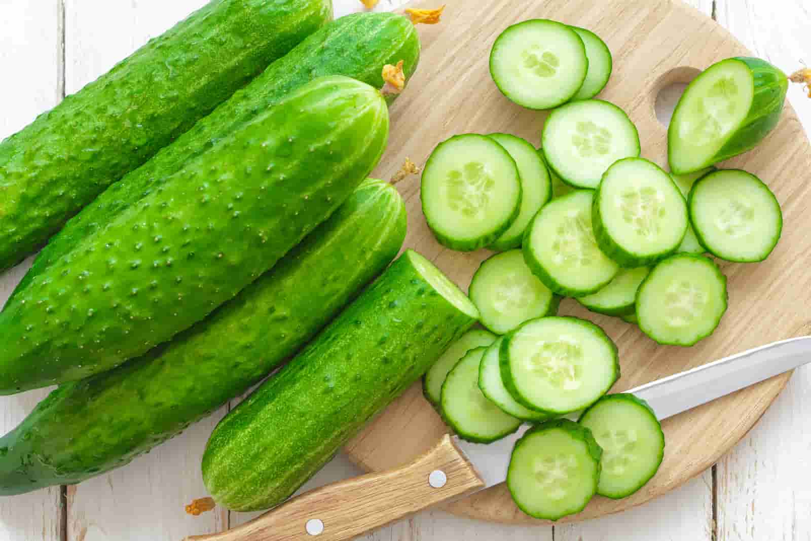تصویر 1 از قیمت روز خیار درختی گلخانه ای با شرایط فوق العاده